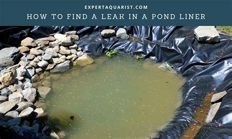 using milk to find leak in pond liner|How to Find a Leak in Pond Liner: A Step